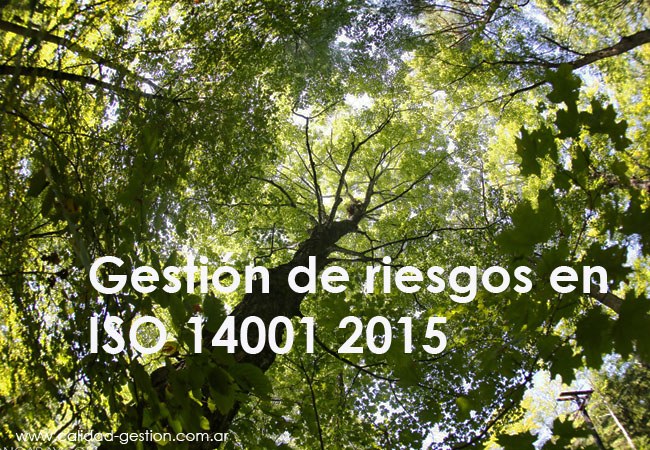 gestion-de-riesgos-en-iso-14001-2015-capitulo-6-planificacion